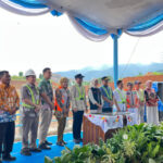 01kcxwkrzzgvjqe0p52mwpvm1c