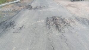 IMG_20251208_142034-1-768x432